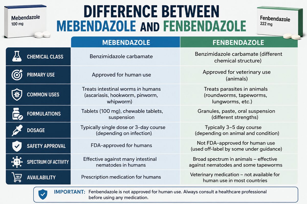Difference Between Fenbendazole and Mebendazole